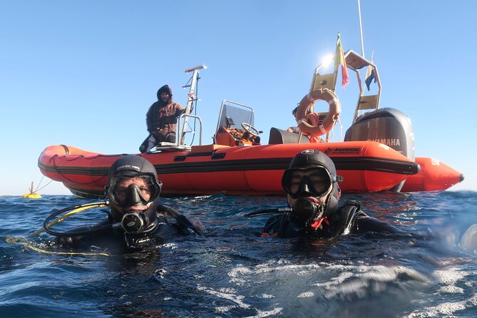 Eco - Try Dive - What happens from the 2:30 pm meeting time