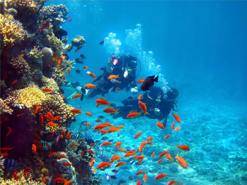 Eilat: Intro to Diving with Certified Instructor - FAQ