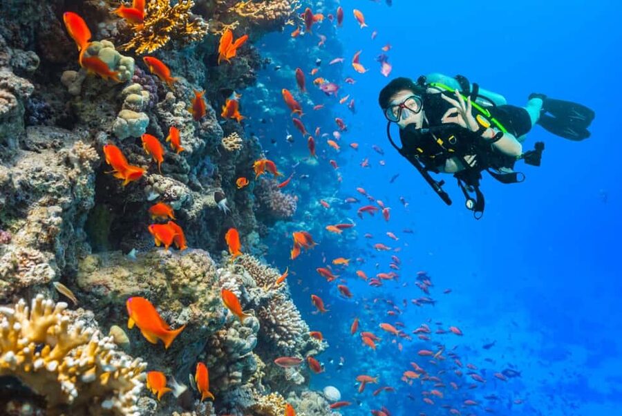 Eilat: Intro to Diving with Certified Instructor - Who should book this Eilat activity