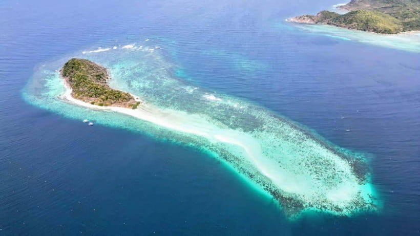 El Nido: Manta Ray Diving Experience in Sibaltan - Second session: a coral reef with fewer distractions