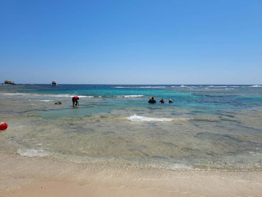 El Quseir: Red Sea Diving - Reefs, Caves & Marine Wildlife - First look at the coral gardens