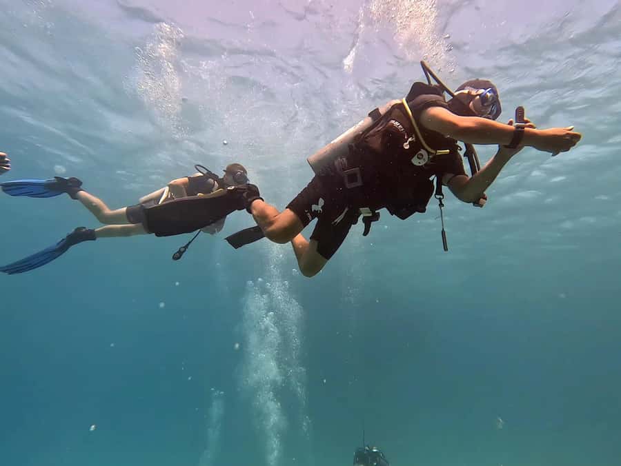 El Quseir: Red Sea Diving - Reefs, Caves & Marine Wildlife - Reef walls, pinnacles, and open water
