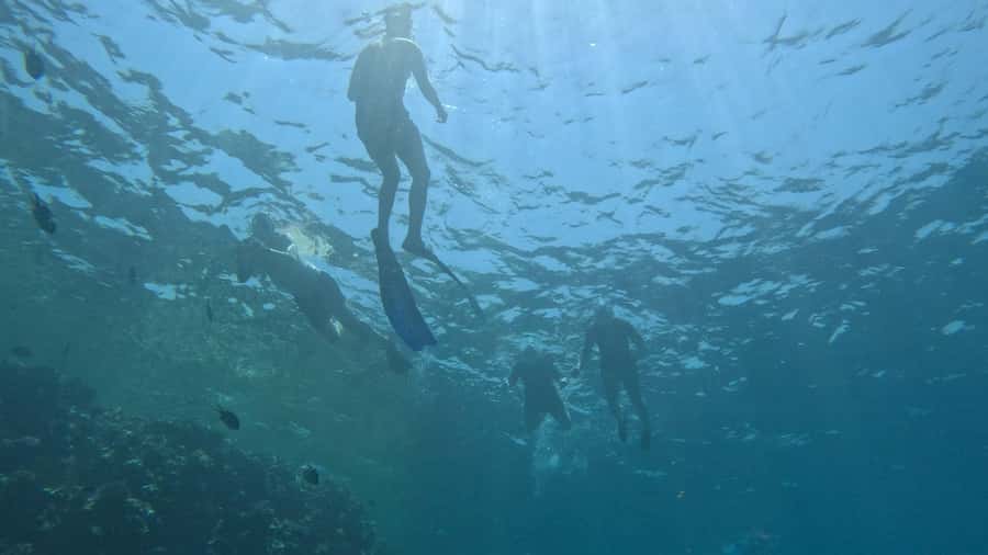 El Quseir: Red Sea Diving - Reefs, Caves & Marine Wildlife - The small-group advantage