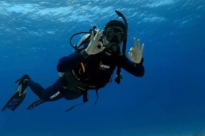 “Embark on a Professional and Passionate Scuba Diving Adventure!" - Why the small group matters