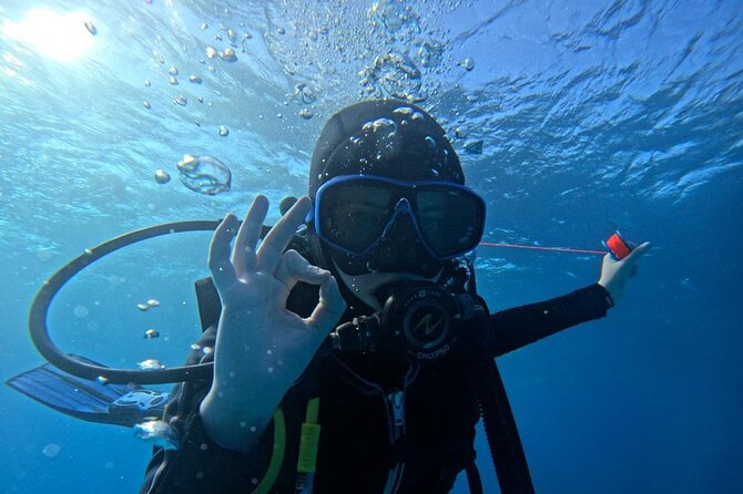 “Embark on a Professional and Passionate Scuba Diving Adventure!" - Who will enjoy this most?