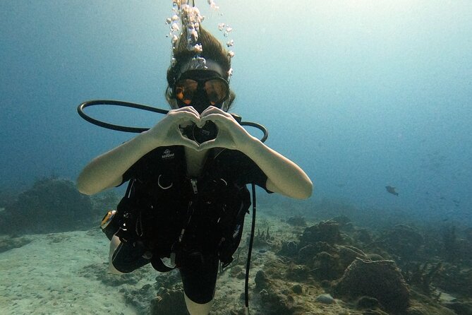 Enjoy two dives without previous experience with a boat trip - Key points to know before booking
