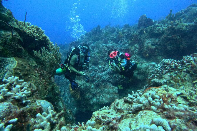 Enjoy two dives without previous experience with a boat trip - A gentle first step into Cozumel’s reefs