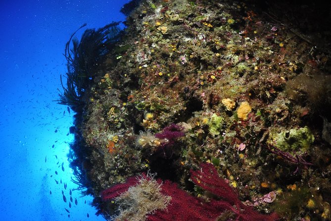 Etna & Diving Jeep Tour - From Aci Castello to Etna’s volcanic country
