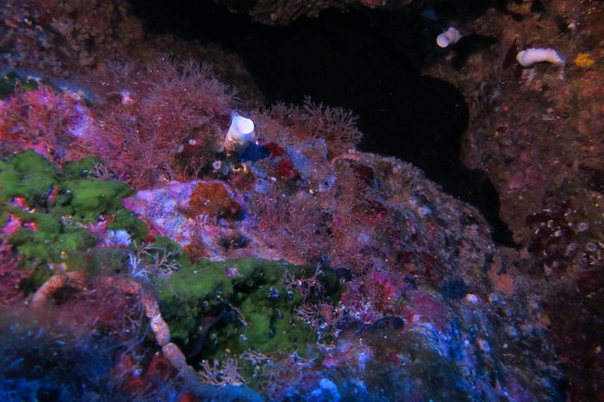 Etna & Diving Jeep Tour - The Cyclops Islands and the marine reserve