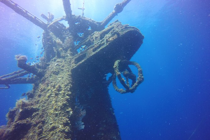 Ex- HMAS Swan Wreck Double Boat Dive - Why the HMAS Swan is such a worthwhile underwater site