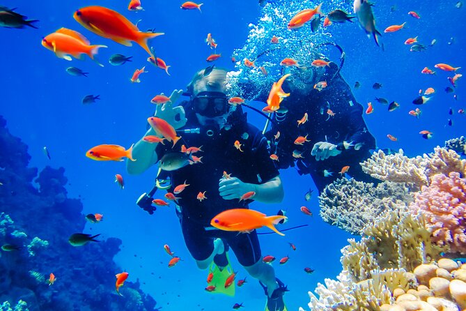 Exciteful Scuba Diving Experience in Antalya - What the Antalya underwater outing actually offers