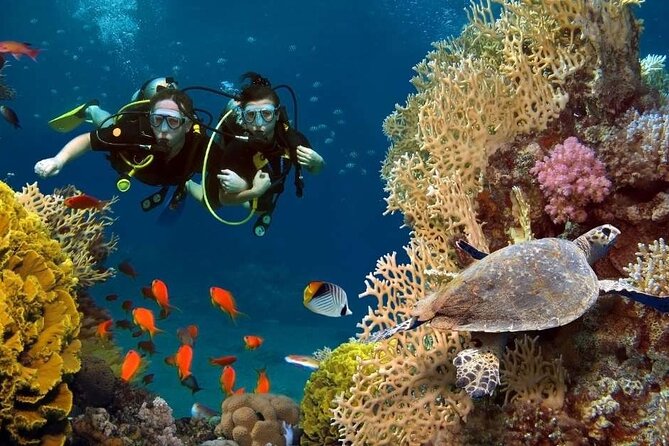 Exciteful Scuba Diving Experience in Antalya - First session: getting comfortable underwater
