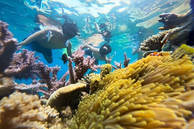 Experience Nha Trang Scuba Diving with Certified Dive - Who will get the most from this outing