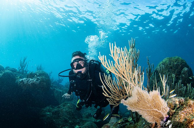 Experience Scuba - Why the private format matters