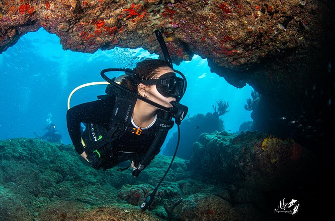 Experience Scuba - Is $150 a fair price?