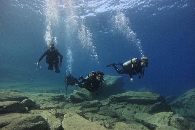 Experience Scuba Diving in Heraklion Crete - Why the instructors are the real value