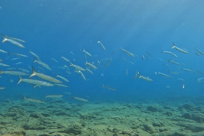 Experience Scuba Diving in Heraklion Crete - How much time do you spend underwater?
