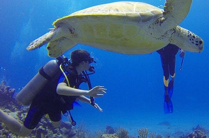 Experience Scuba Diving / NO certification Needed - Reaching Rincón’s coral reef