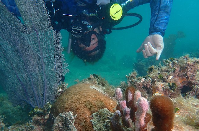 Experience Scuba Diving / NO certification Needed - Why the six-person limit is valuable