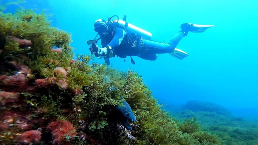 Experience the thrill of diving in Morocco Fun Dives - Key points to know before booking