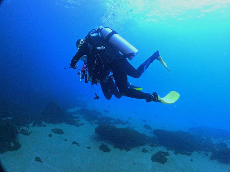 Experience the thrill of diving in Morocco Fun Dives - What you may find below the surface