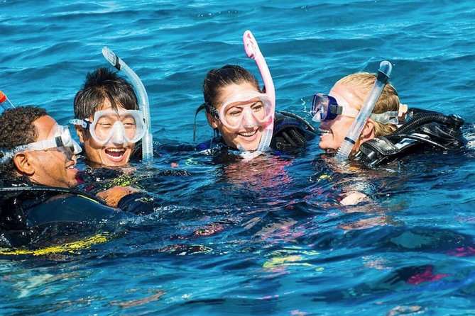 Exploration dives - Getting Ready With the Blue World Explorer Team