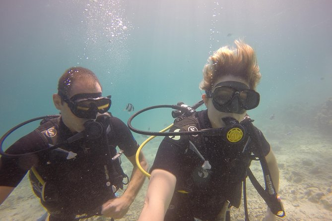 Exploration dives - By Boat Toward the Volcanic Southeast Coast