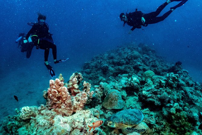 Exploration dives for experienced divers - Key points at a glance