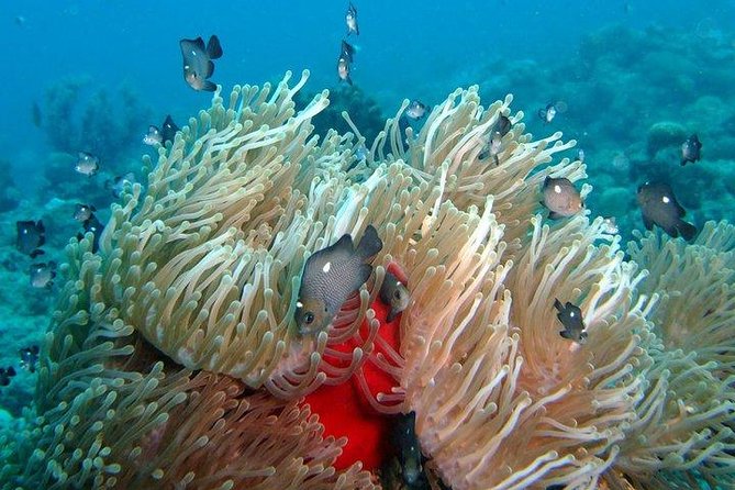 Exploration dives for experienced divers - Preparing gear and getting the briefing right