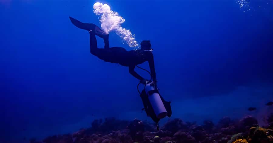 Explore Aqaba's Depths: Scuba Diving Tour, with Hotel Pickup - Aqaba’s reefs and wrecks in one short outing