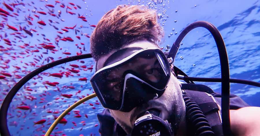 Explore Aqaba's Depths: Scuba Diving Tour, with Hotel Pickup - The Tank and Seven Sisters Wreck options