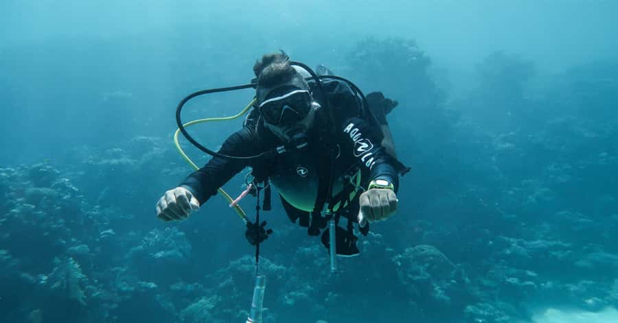 Explore Aqaba's Depths: Scuba Diving Tour, with Hotel Pickup - The 20-minute ride from Aqaba to South Beach