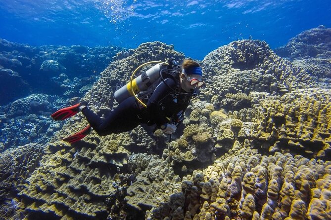 Explore Hurghada Two Thrilling Boat Dives for Certified Divers - Why Hurghada is a strong base for Red Sea reef time