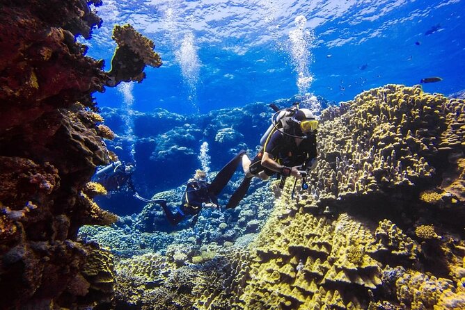 Explore Hurghada Two Thrilling Boat Dives for Certified Divers - What the boat day feels like