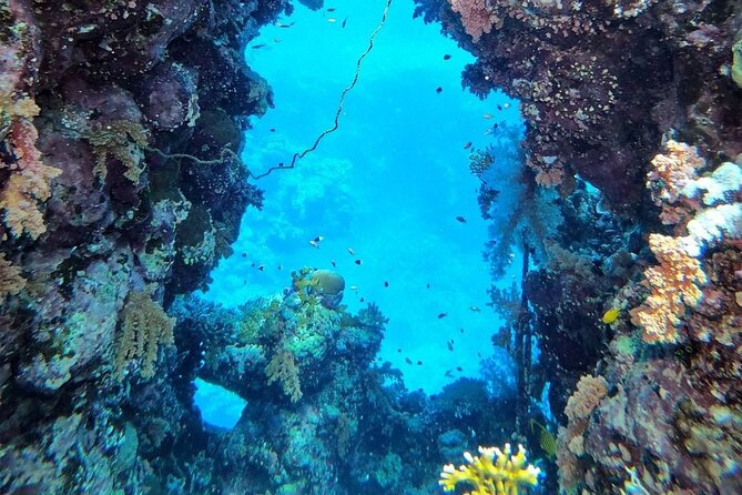 Explore Hurghada Two Thrilling Boat Dives for Certified Divers - Returning to Hurghada around 4:00 PM