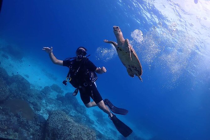 Explore Scuba Diving at Racha Yai Island from Phuket - Key points to know before you book