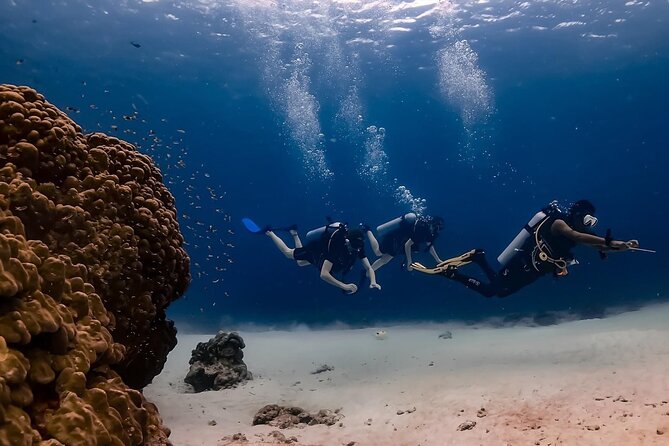 Explore Scuba Diving at Racha Yai Island from Phuket - A full day begins at 8:00 a.m.