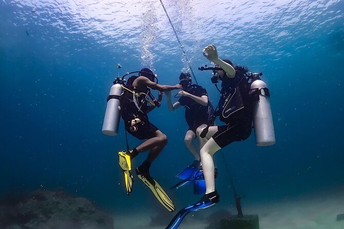 Explore Scuba Diving at Racha Yai Island from Phuket - Racha Yai’s coral and marine life