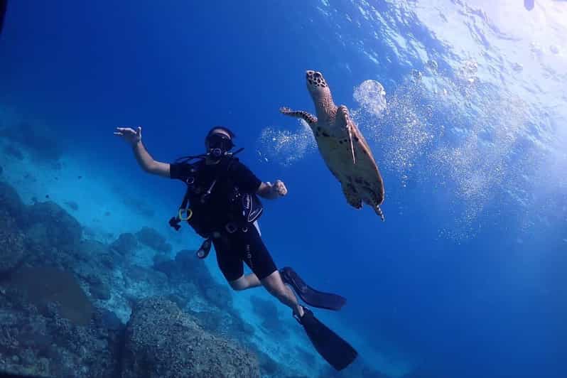 Explore Scuba diving at Racha Yai Island from Phuket - A realistic look at the $141 price