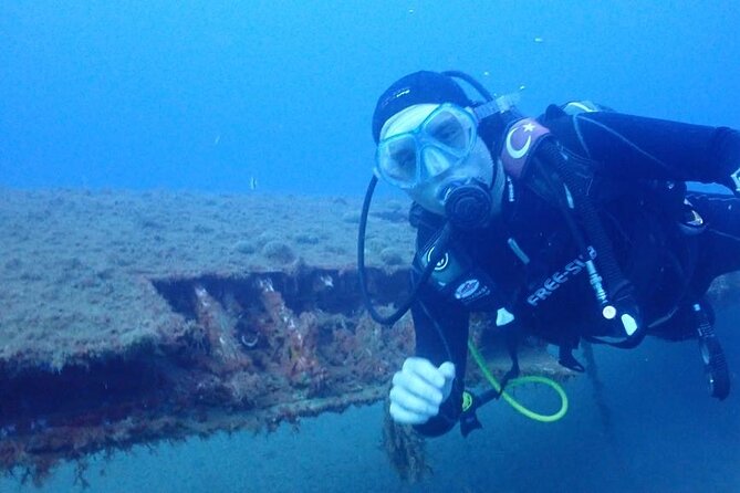 Explore World's Largest Plane Wreck by Scuba Diving in Kusadasi - What marine life you might see