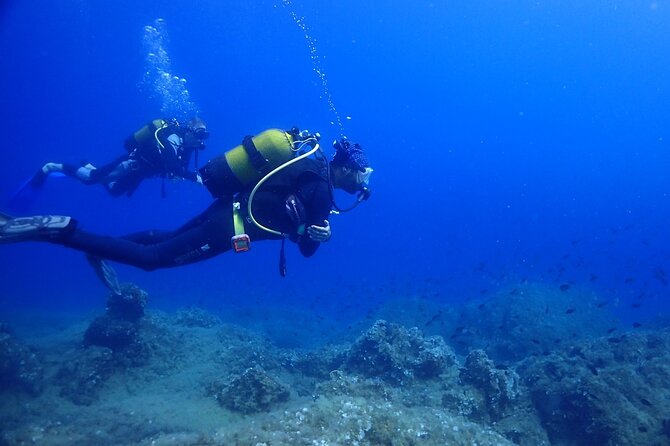 Explore World's Largest Plane Wreck by Scuba Diving in Kusadasi - The boat, lunch, and what is included