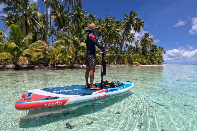Fakarava 2-tank Certified Scuba Dive - Who should book this Fakarava activity