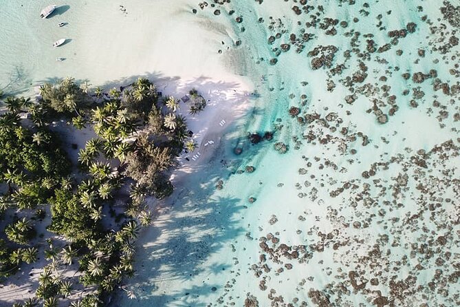 Fakarava 2-tank Certified Scuba Dive - Booking, weather, and cancellation details