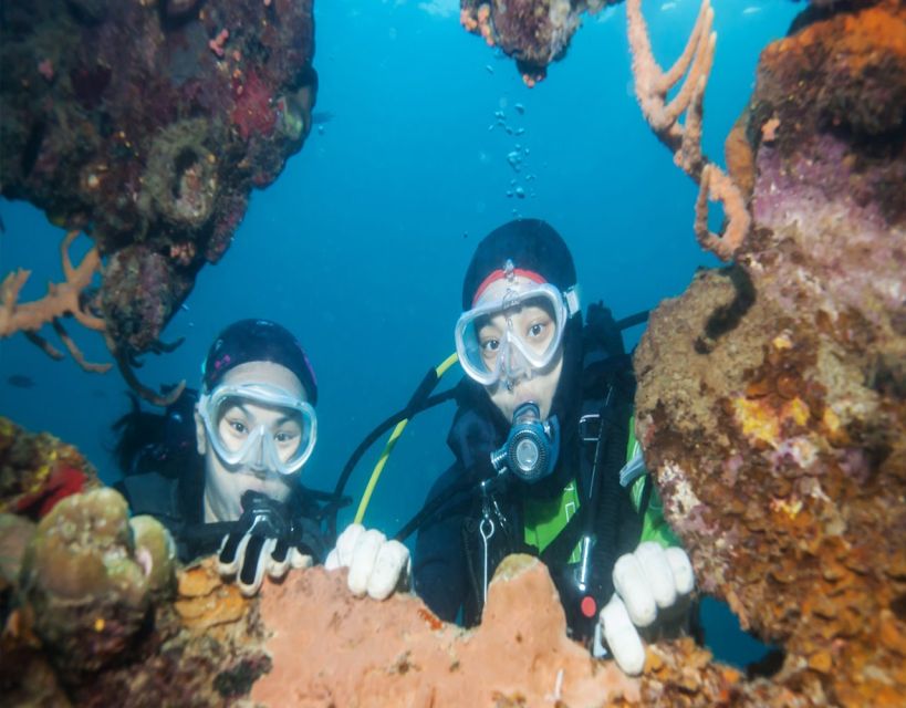 Fethiye: 2 Guided Scuba Dives with Lunch and Hotel Transfers - Key points to know before booking