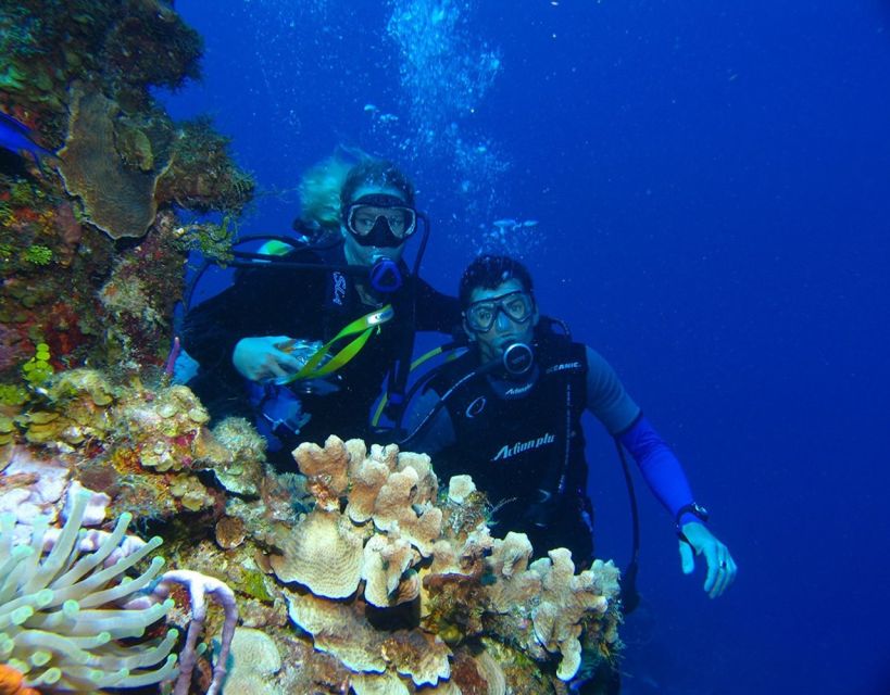 Fethiye: 2 Guided Scuba Dives with Lunch and Hotel Transfers - Is $70 good value?