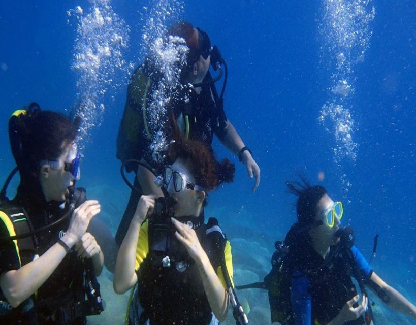 Fethiye: 2 Guided Scuba Dives with Lunch and Hotel Transfers - Who should book this Fethiye outing?