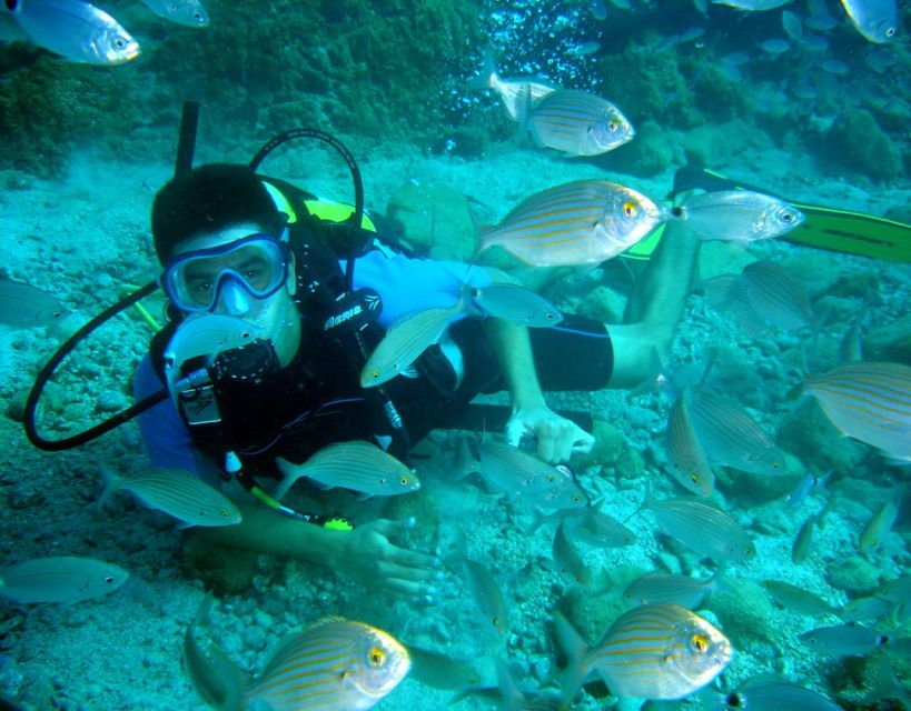 Fethiye: 2 Guided Scuba Dives with Lunch and Hotel Transfers - Practical booking advice