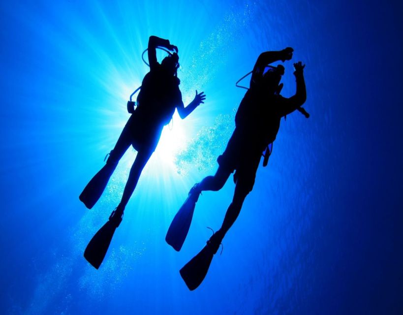 Fethiye: 2 Guided Scuba Dives with Lunch and Hotel Transfers - Pickup from Fethiye hotels and rental stays