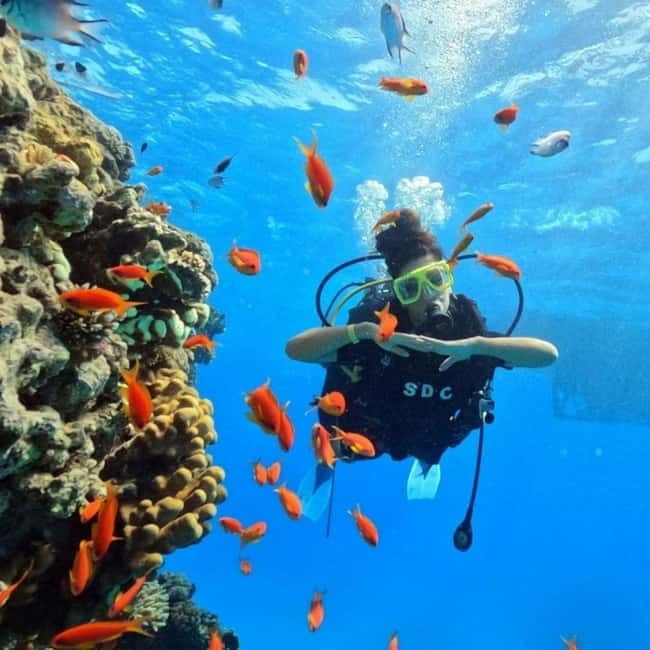 Fethiye: Fly and Dive, Paragliding and Scuba Diving Combined, Transfer Included - From Fethiye or Ölüdeniz to the mountain