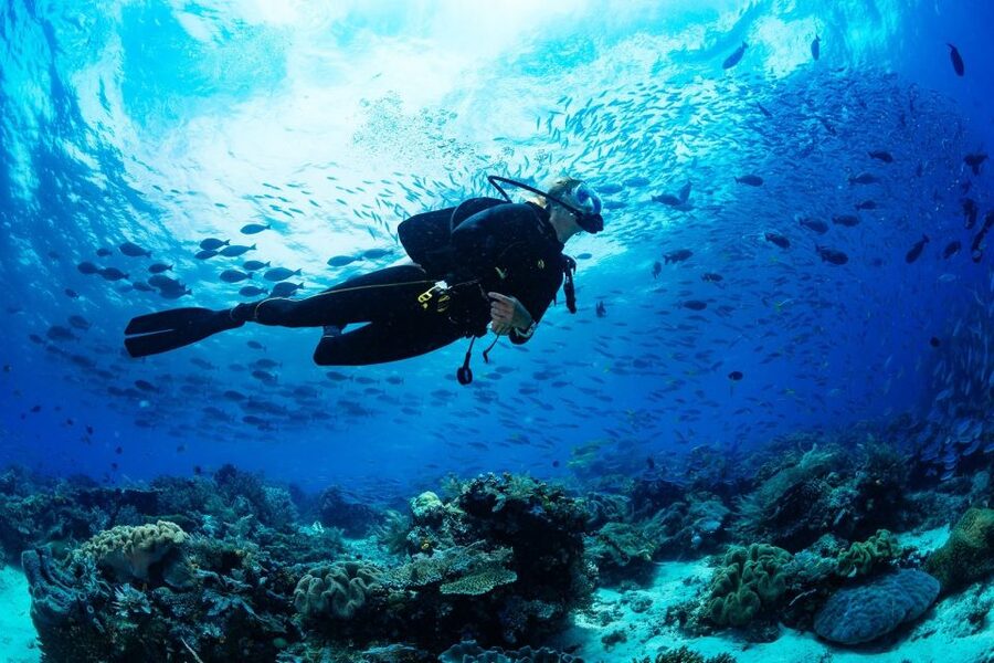 Fethiye: Professional Scuba Diving with Lunch - The morning briefing and practice session